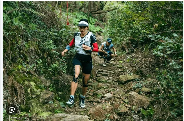 giai-dap-chi-tiet-chay-trail-la-gi-a56